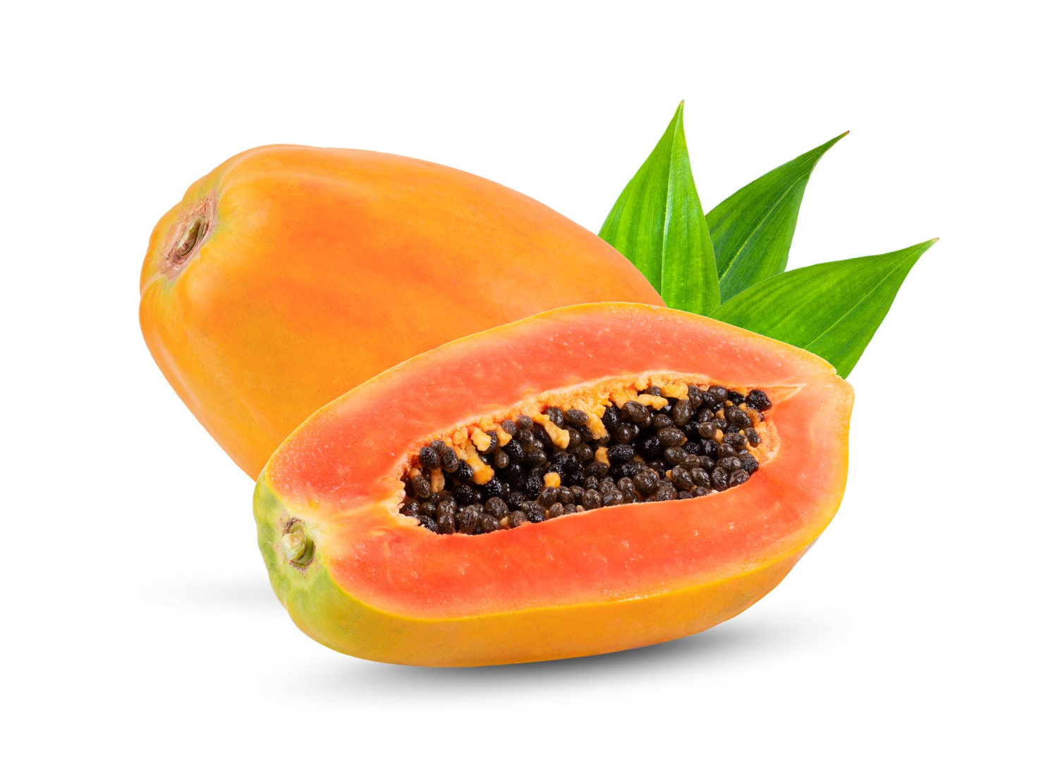 Papaya