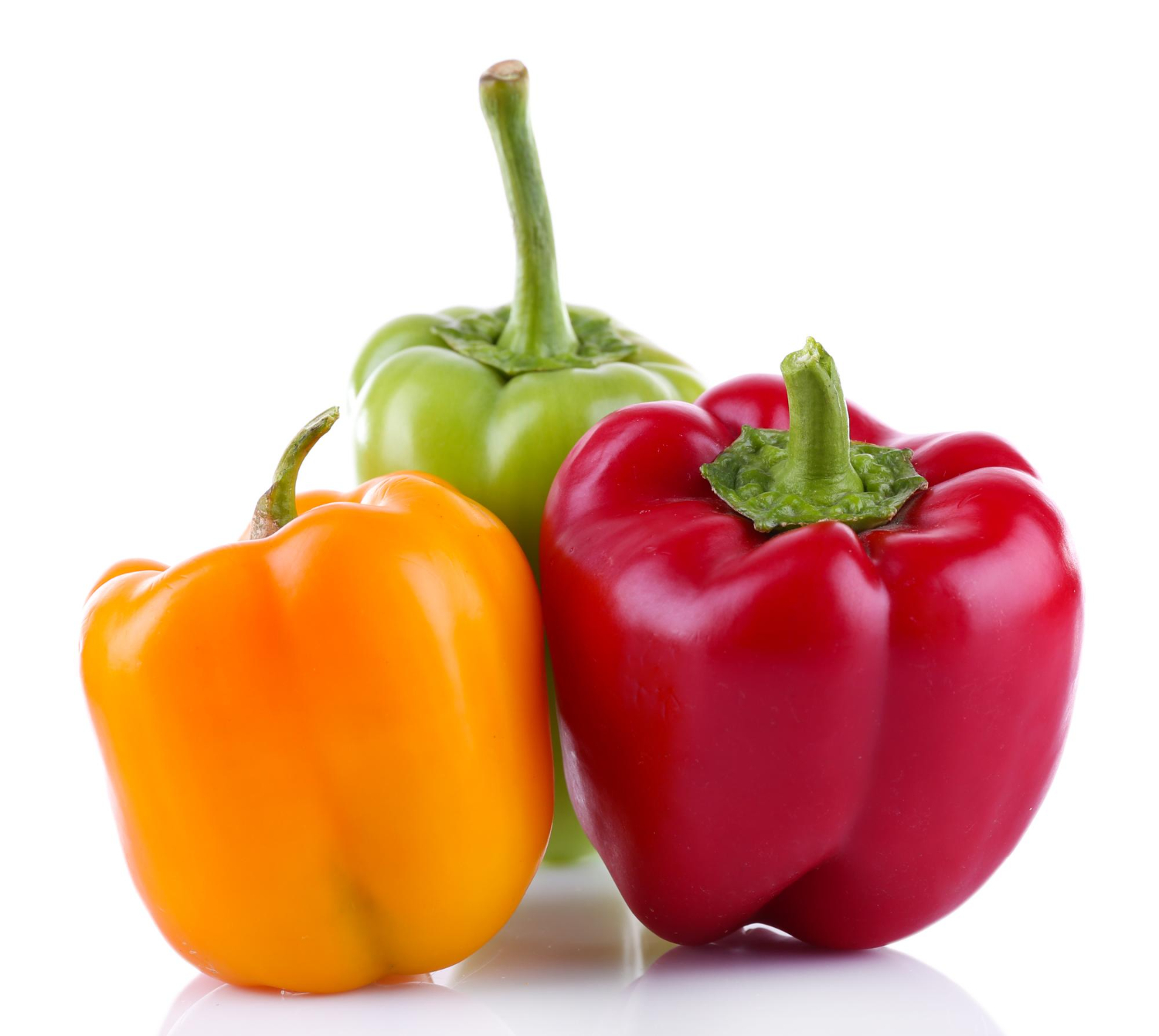 Capsicum