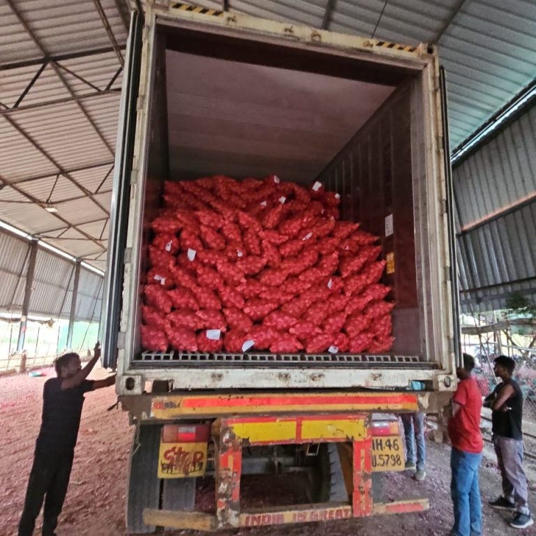 WhatsApp Image 2026-02-17 at 3.16.29 PM (2)