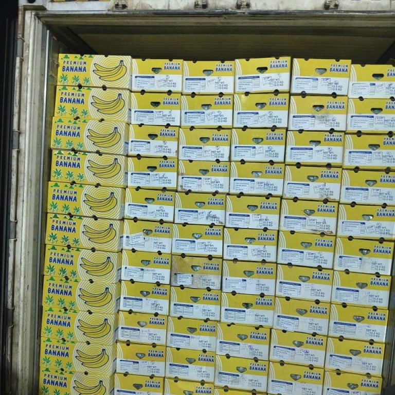 WhatsApp Image 2026-02-17 at 3.26.12 PM (1)