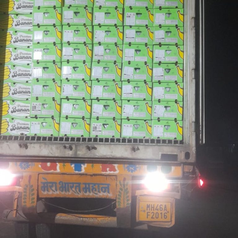 WhatsApp Image 2026-02-17 at 3.26.14 PM (1)