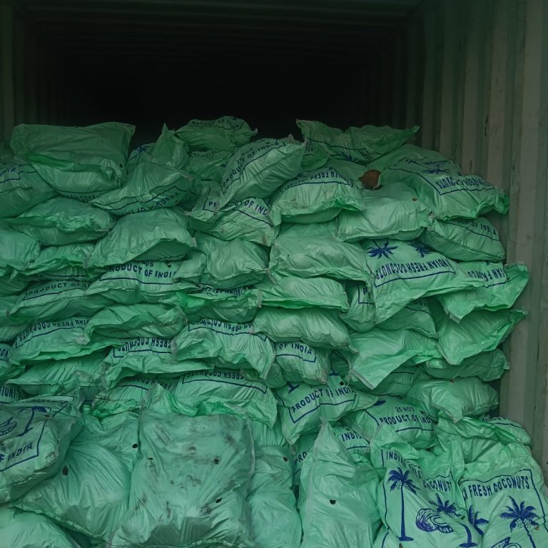 WhatsApp Image 2026-02-17 at 3.28.15 PM