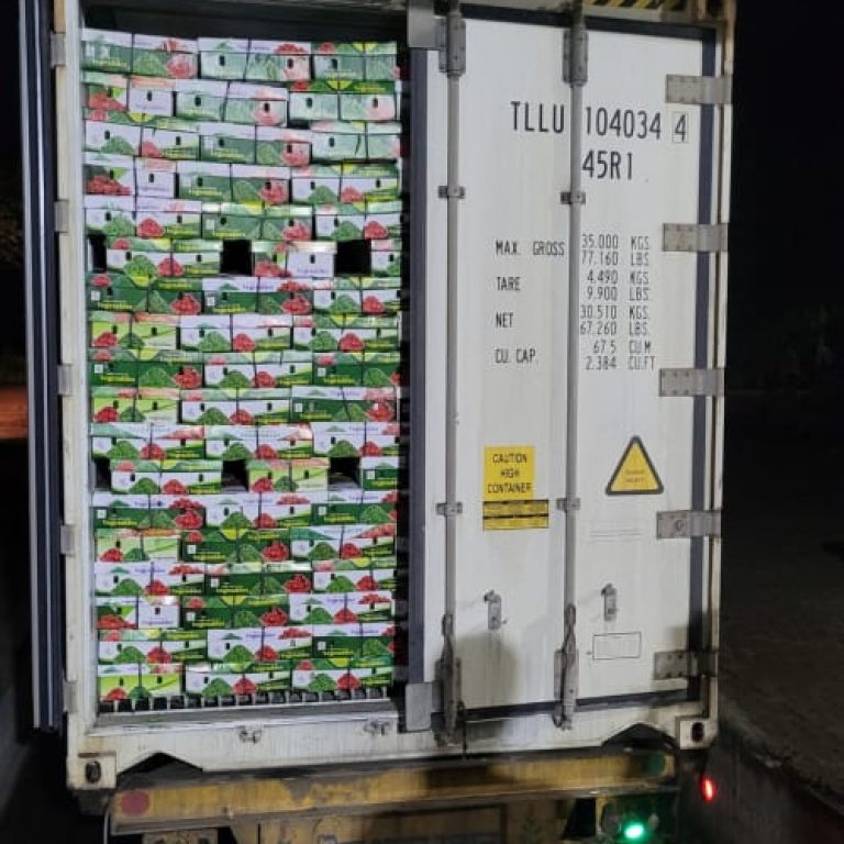 WhatsApp Image 2026-02-17 at 3.46.04 PM